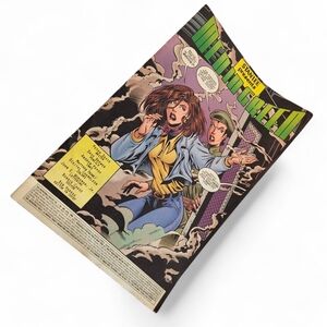 Incredible Hulk Comic Book Marvel Stan Lee Peter David Vintage Collectible